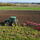 ARCOAGRO 180 2in1
