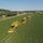 Beet Harvester - TIGER 6S